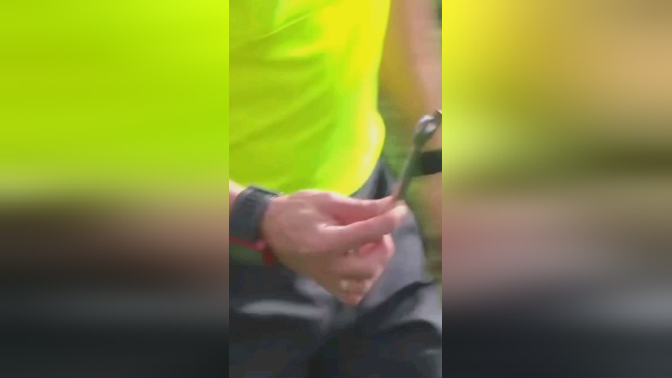 创新食谱绘美味健康画卷，圣禾载誉而归续写学生餐暖心新篇章